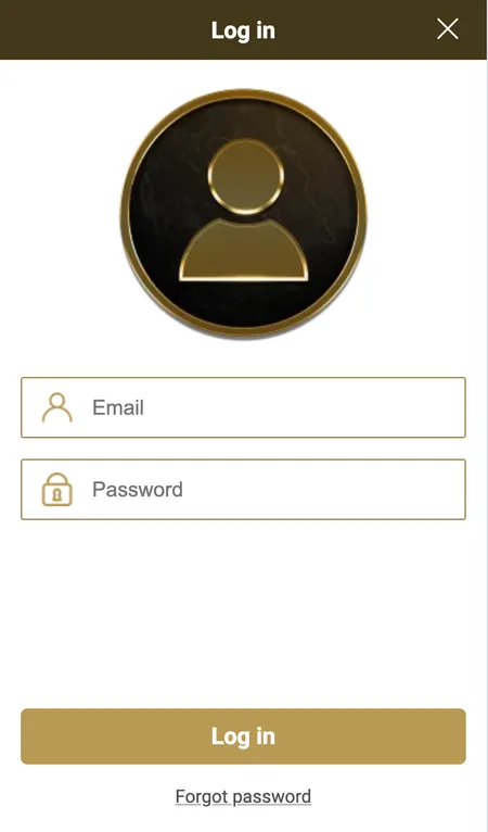Mega Riches login form showing email and password fields